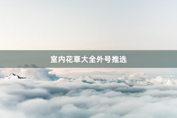 室内花草大全外号推选