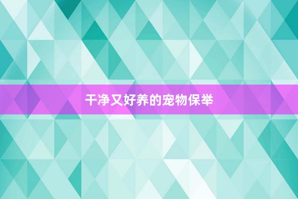 干净又好养的宠物保举